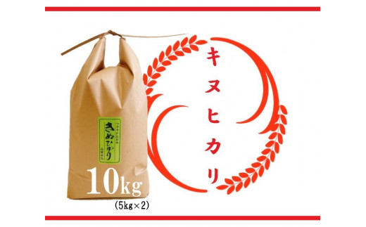 【令和7年産 特別栽培 近江米  『キヌヒカリ』10kg(5kg×2)】米 近江米 キヌヒカリ ブランド米 滋賀県 竜王