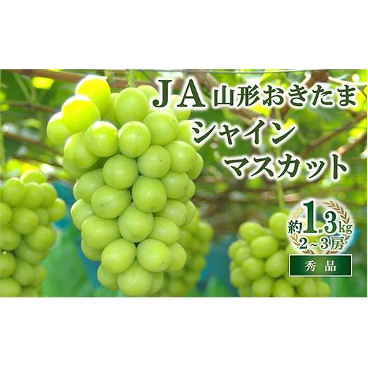 【令和8年産先行予約】 JA シャインマスカット 約1.3kg (2～3房 秀) 《令和8年9月下旬～発送》 『JA山形おきたま』 マスカット ぶどう 果物 フルーツ 山形県 南陽市 [2054]