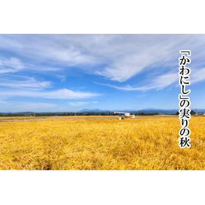 ふるさと納税 十日町市 【毎月定期便】【厳選☆川西地区育ち】　“有機栽培米”　魚沼産コシヒカリ　5kg×2袋　全6回 |  | 03