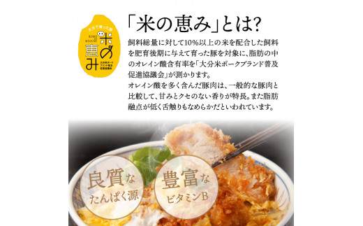米の恵み豚/ロース,ヒレ贅沢とんかつ食べ尽し1.2kg（1177R）_イメージ5