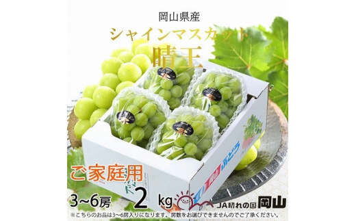 【2026年8月下旬より発送】ご家庭用　岡山県産　シャインマスカット　晴王　2kg(3～6房)_ シャインマスカット ぶどう 葡萄 ブドウ マスカット 果物 くだもの フルーツ 晴王 種無し 産直 産地直送 岡山県 津山市 家庭用 送料無料 【1409730】