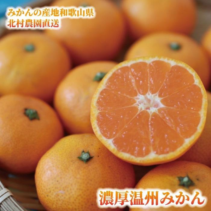 【ふるさと納税】先行予約【2025年11月下旬より発送】濃厚温州みかん贈答用7.5kg（和歌山天田みかん）みかんの産地和歌山　北村農園直送