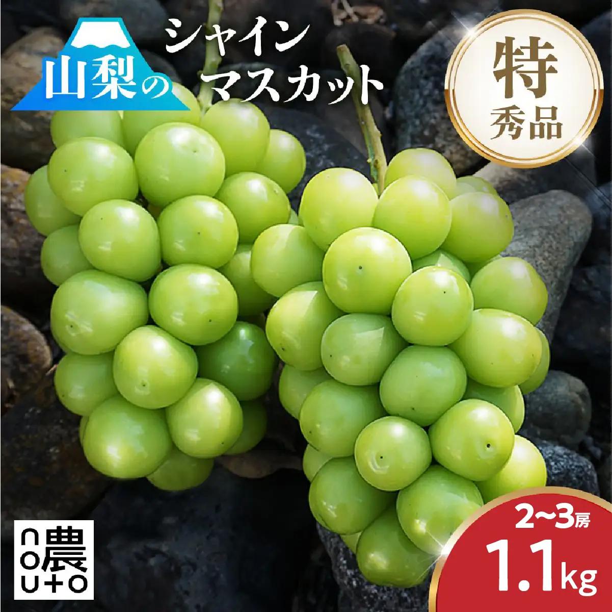 【2026年発送★先行予約】シャインマスカット  1.1kg以上 2房～3房 154-008-26y ※クール便 | フルーツ 果物 高評価 人気 ランキング おすすめ 甘い 美味しい デザート 数量