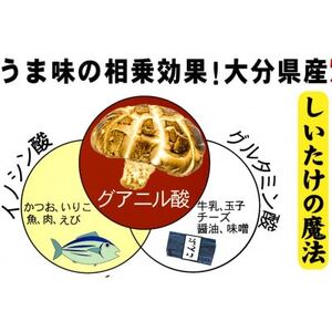 大分県産乾椎茸　旨味のお試し　詰め合わせ【1663658】