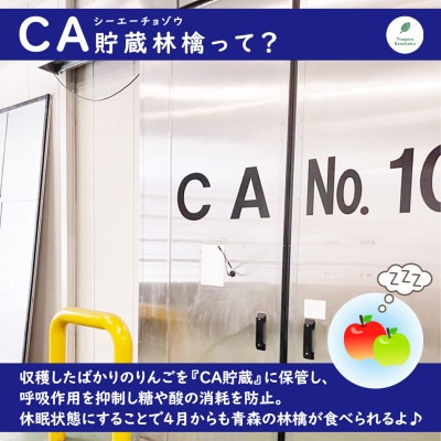 りんご 王林 4月から順次発送! A品 4.8kg (14～20玉) CA貯蔵 津軽産直組合直送【配送不可地域：離島】