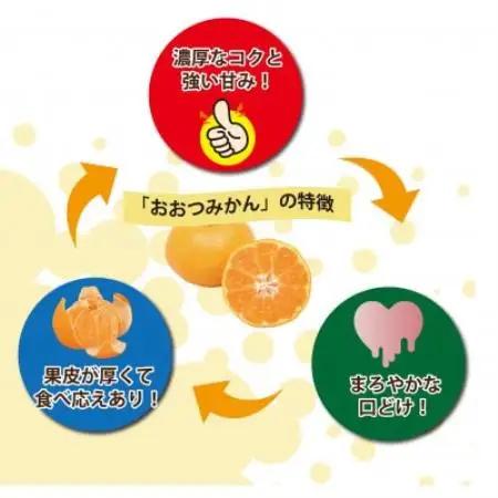 【2027年1月順次発送!】100年以上続くみかん農家がつくる「みかん(大津4号)」約5kg【配送不可地域：離島】【1738393】
