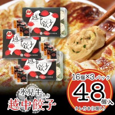 ふるさと納税 富山県 氷見牛入り越中餃子　3パック(48個入り)