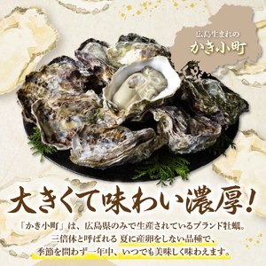 【2025年1月上旬発送】丸十水産 広島ブランド牡蠣 殻付き かき小町 約1.5kg  (8～10個)