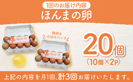 【全3回定期便】平飼いニワトリの有精卵！ほんまの卵定期便 計60個（20個×3回） / たまご 卵 平飼い / 佐賀県 / 本間農園[41AJAA019]