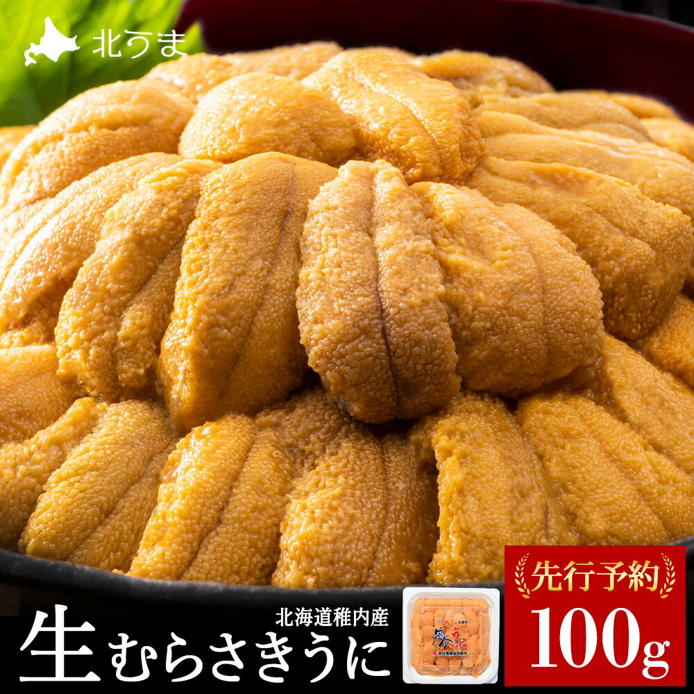 【ふるさと納税】【うにの名産地稚内市】最北端の生むらさきうに(100g×1) うに ウニ 雲丹 むらさきうに ムラサキウニ 海鮮 魚介 生ウニ 小分け 北海道ふるさと納税 稚内 ふるさと納税 北海道 【配送不可地域：離島・沖縄県】