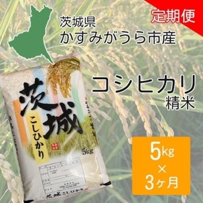 
            ＜毎月定期便＞茨城県かすみがうら市産　精米　コシヒカリ5kg全3回【4076522】
          