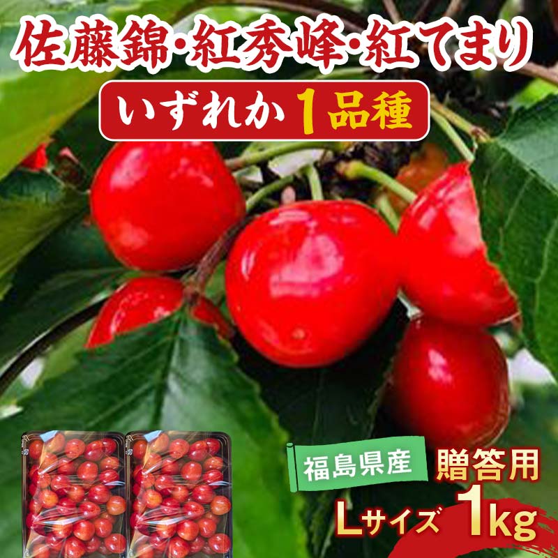【ふるさと納税】さくらんぼ 佐藤錦 紅秀峰 紅てまりのどれか1品種 1kg Lサイズ 贈答用 ＜有我果樹園＞ F7X-0229