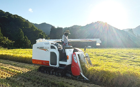 【令和7年産】魚沼産コシヒカリ(玄米)30kg 米 コメ こしひかり ブランド米 お取り寄せ 魚沼市