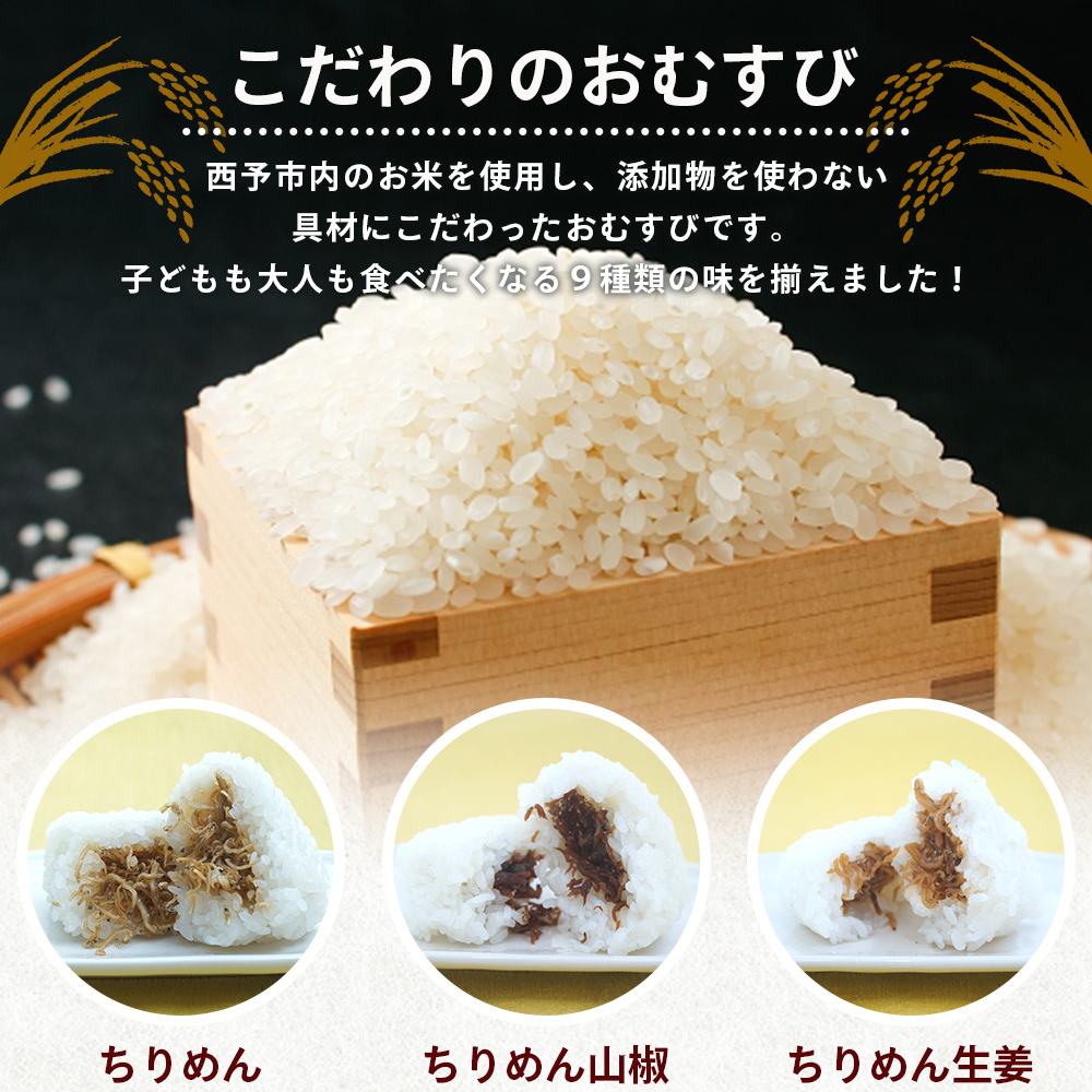 ＜【6回定期便】漁師の朝めし 9種おむすびセット 合計18個（各2個）＞ 定期便 詰合せ おにぎり お米 こめ ちりめん 山椒 生姜 青のり つくだ煮 しそわかめ 大根葉 梅ごま ひじき 網元・祇園丸