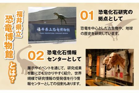 福井県立恐竜博物館 常設展観覧券 (一般 1名様と小・中学生 1名様) [A-048009]