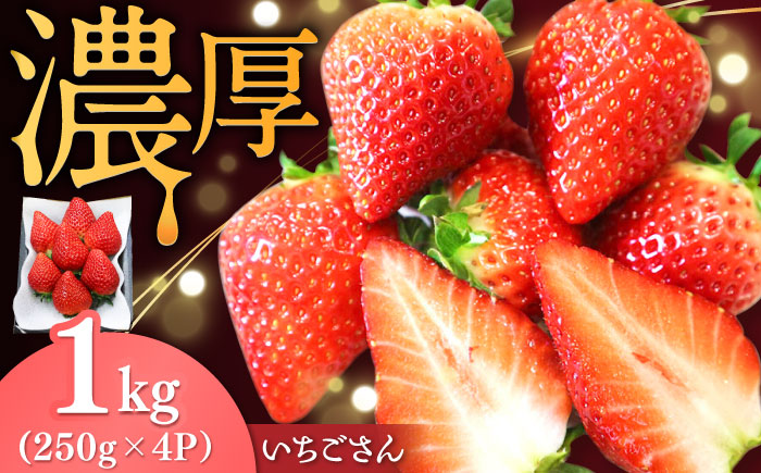 【先行予約】【ジューシーな濃厚いちご】いちごさん 1kg（250g×4パック） / 苺 イチゴ いちご フルーツ 果物 / 佐賀県 / さかもとさんの畑 [41ABAA001]