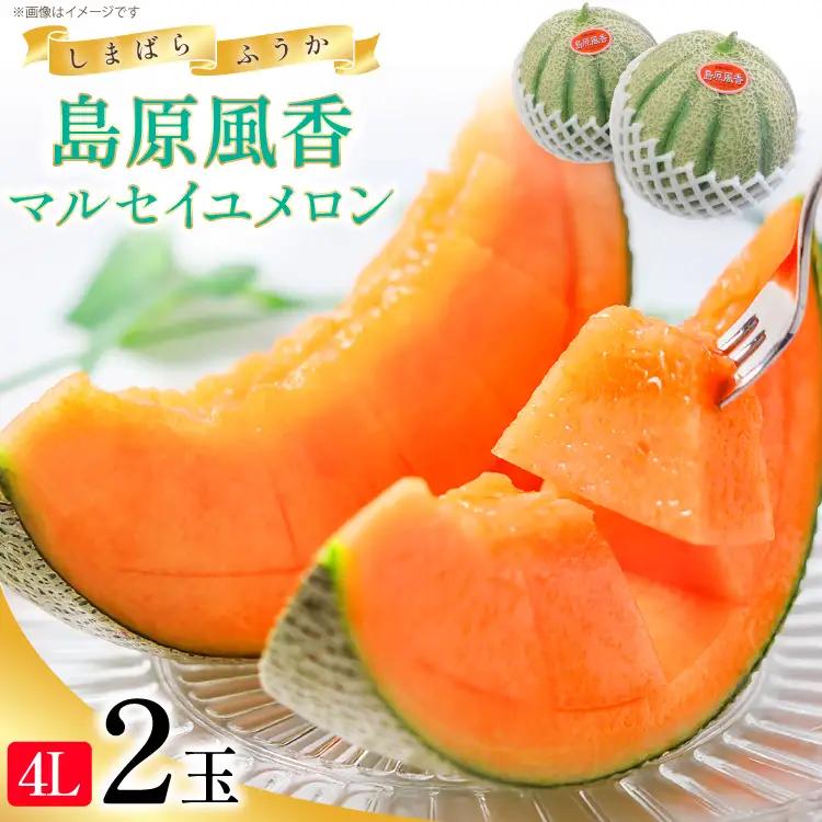 DF108【令和8年度出荷分】マルセイユメロン～島原風香～（4L×2玉）
