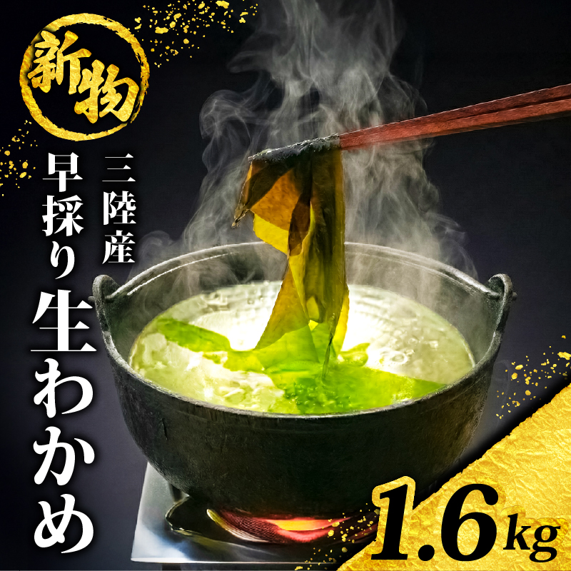 【先行予約】 早採り生わかめ 新物 1.6kg(200g×8袋) 期間限定 ★2026年1月～発送予定★
