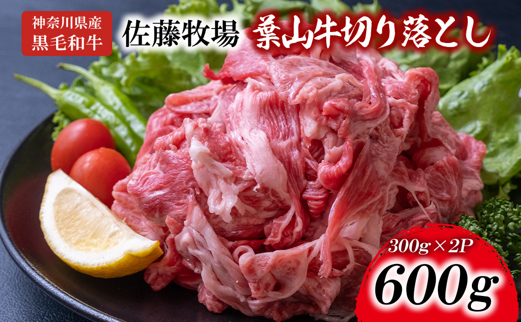 
            【神奈川県産黒毛和牛】三浦市の佐藤牧場が育てた葉山牛 切り落とし2P　M079-006-01
          