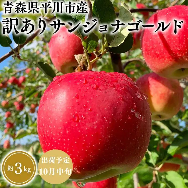 りんご 家庭用 サンジョナゴールド 約3kg 青森県平川市産　[hi-0036-004]