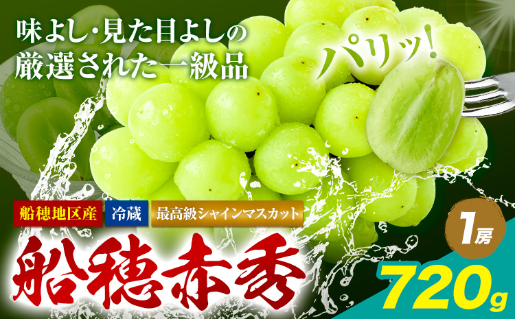 【2025年先行予約受付】最高級 シャインマスカット ぶどう 船穂赤秀 1房 720g《9月上旬-11月中旬頃出荷(土日祝除く)》ハレノフルーツ マスカット 送料無料 岡山県 浅口市 フルーツ 果物 贈り物 ギフト 国産 岡山県産【配送不可地域あり】（北海道・沖縄・離島）