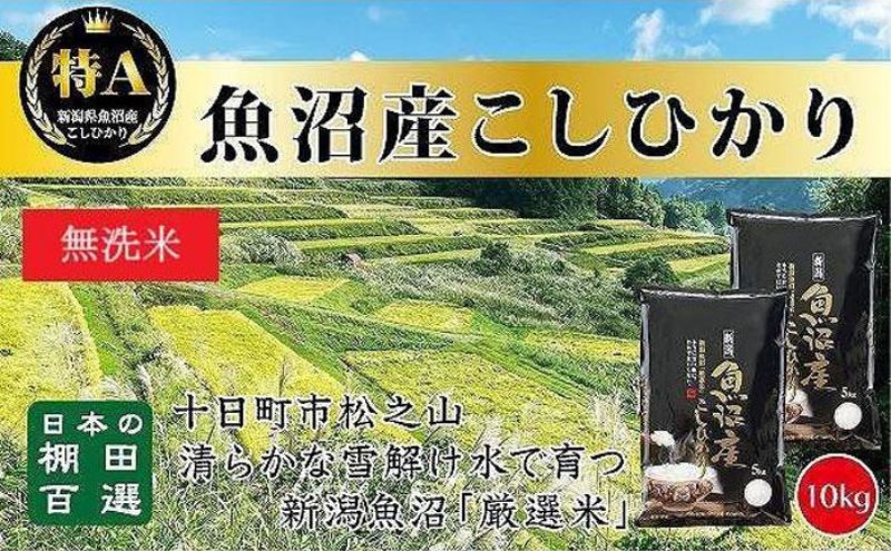 【令和7年産新米予約】【食味鑑定士厳選】日本棚田百選のお米 無洗米 天空の里 魚沼産 こしひかり 10kg(5kg×2)