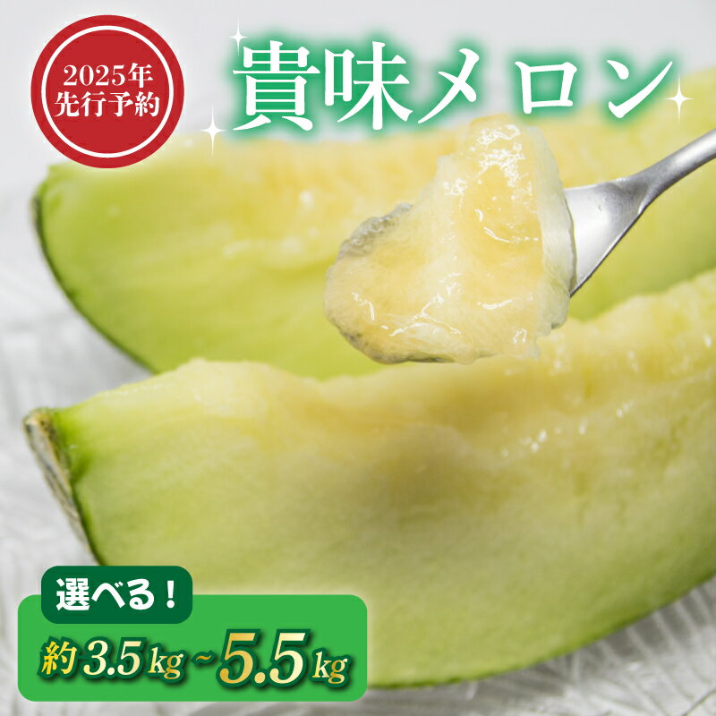 【ふるさと納税】 【2025年発送】貴味 メロン 選べる 約3.5kg ／ 約5.5kg 赤肉 めろん melon タカミメロン ジューシー 産地直送 高級 ブランド 美味しい 糖度 甘い おすすめ 旬 果物 フルーツ 国産 季節限定 期間限定 数量限定 ギフト プレゼント 千葉県 旭市 向後メロン園
