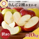 【ふるさと納税】★レビュー高評価★【 訳あり 】 りんご 2品種おまかせ 10kg ( 配送時期が選べる ) / りんご 林檎 アップル 規格外 不揃い フルーツ 果物 くだもの 秋 旬 青森県 五所川原市