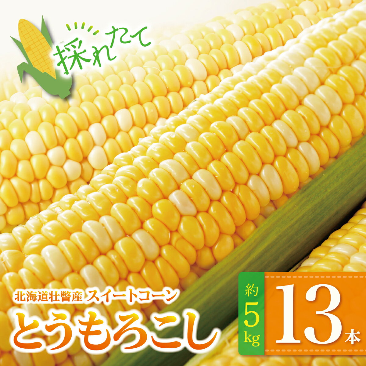 【ふるさと納税】＜2026年8月上旬よりお届け＞北海道壮瞥産 とうもろこし（スイートコーン）13本 約5kg ふるさと納税 人気 おすすめ ランキング トウモロコシ とうもろこし スイートコーン 野菜 甘い 北海道 壮瞥町 送料無料 SBTN001