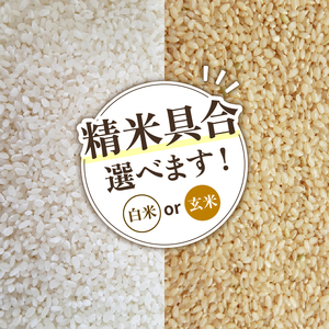 【 先行予約 】新米 こしひかり 白米 5kg 定期便 6ヶ月( 新米 予約 令和6年産 特別栽培米 米 5kg 新米予約 米 5kg 新米予約 米 5kg 新米予約 米 5kg 新米予約 米 5kg