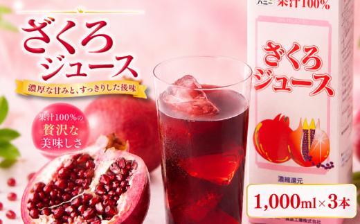 ざくろジュース 1000ml 3本 ザクロジュース ざくろ 果汁 ドリンク ジュース 果汁飲料 フルーツジュース 飲料 プレゼント ギフト 贈答 送料無料 徳島県 吉野川市