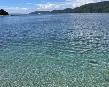 愛媛・西宇和・佐田岬　平日～土・日・祝日（いつでも）　限定一棟貸しゲストハウスHANARE Stay&Space佐田岬 素泊まり宿泊券（1泊3名様分） IKTAQ001　　