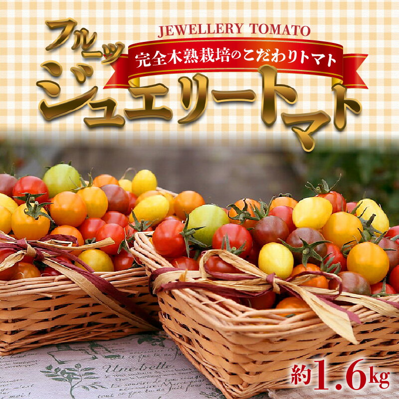 【ふるさと納税】【2026年度予約分】高評価☆4.66 送料無料 まるでトマトの宝石箱 フルーツジュエリートマト 1.6kg 甘い 濃厚な味わい ミニトマト トマト フルーツのような甘み 新鮮 こだわり 野菜 食品 サラダ リコピン ご褒美 プレゼント 長田農園 碧南市 送料無料