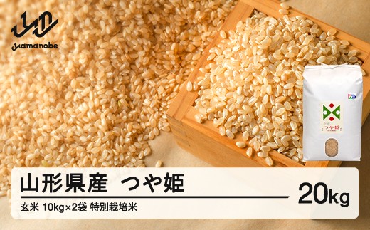 【先行予約】新米 つや姫 玄米 20kg 12月前半発送 特別栽培米 令和8年産 2026年産 山形県産 ※沖縄・離島への配送不可 on-tsgxb20-12f