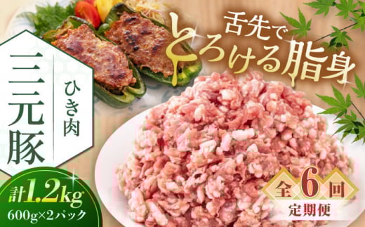 【全6回定期便】平田牧場 ひき肉 1.2kg (600g×2P) 《喜茂別町》【平田牧場】 肉 豚肉 ミンチ 豚ミンチ 餃子 つくね  冷凍配送 定期便 定期 北海道 平田牧場 三元豚 [AJAP124] 78000 78000円