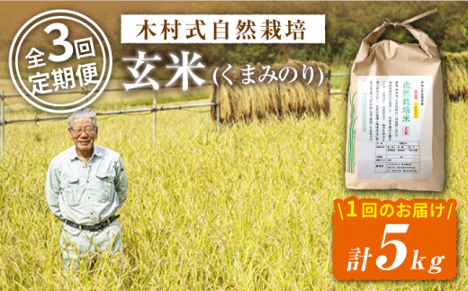【2025年10月より発送】【3回定期便】【木村式自然栽培】 玄米 くまみのり 約 5kg ＜ハマソウファーム＞ [CBR021]