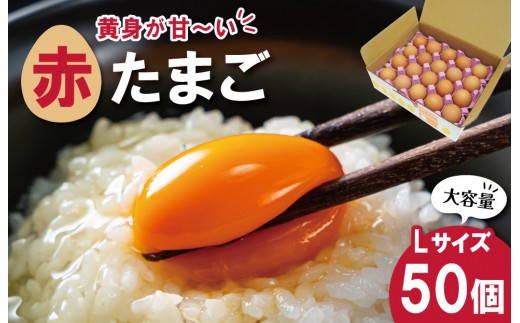 
                  新鮮たまご 赤玉 Lサイズ 50個 明和町 中村養鶏場 卵 たまご 生卵 生たまご 鶏卵 国産 濃厚 ny3
                