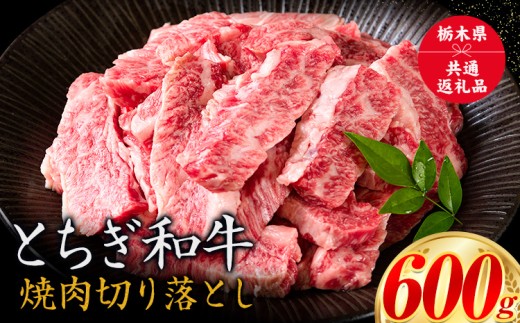 黒毛和牛 とちぎ和牛 焼肉　切り落とし A4～A5等級 霜降り 赤身 ステーキ 極上 600g 数量限定 牛肉 冷凍 《30日以内に出荷予定(土日祝除く)》 冷凍庫 個別 1kg以内 1kg以上 ブランド牛