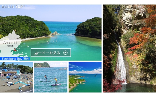栽培期間中8年間化学農薬・化学肥料不使用栽培米　徳島県産コシヒカリ　10kg　精米【1760891】
