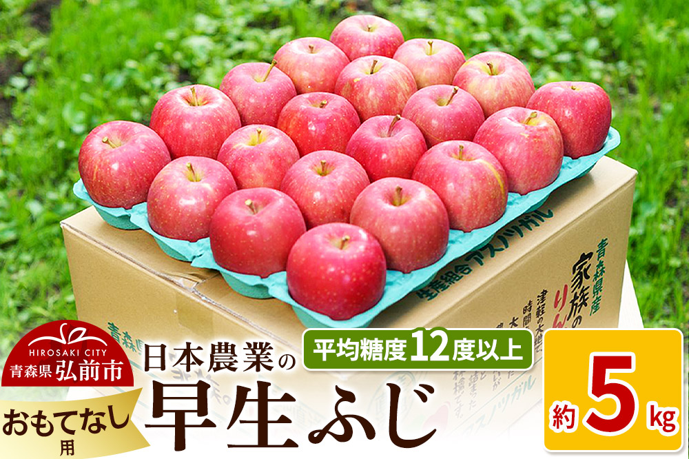 りんご 【先行受付】平均糖度12度以上！ 早生ふじ 約5kg おもてなし用