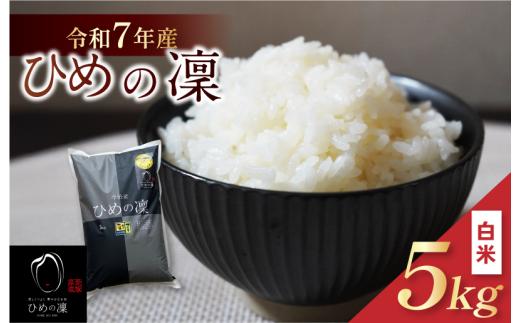 【令和7年産】【2025年11月10日から順次発送】今治産 米（ひめの凜）5kg【VB01580】米 お米 コメ おこめ 白米 精米 ごはん ご飯 ひめの凜 愛媛県産 今治産 新米