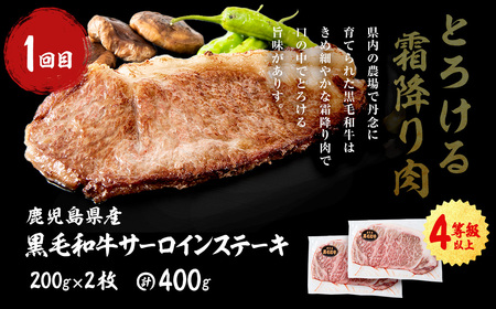 【ふるなび限定】 【定期便全2回】 黒毛和牛・九州産豚肉 ごちそう定期便 (2ヵ月連続・計2.8kg) FN-Limited-SP t0031-003
