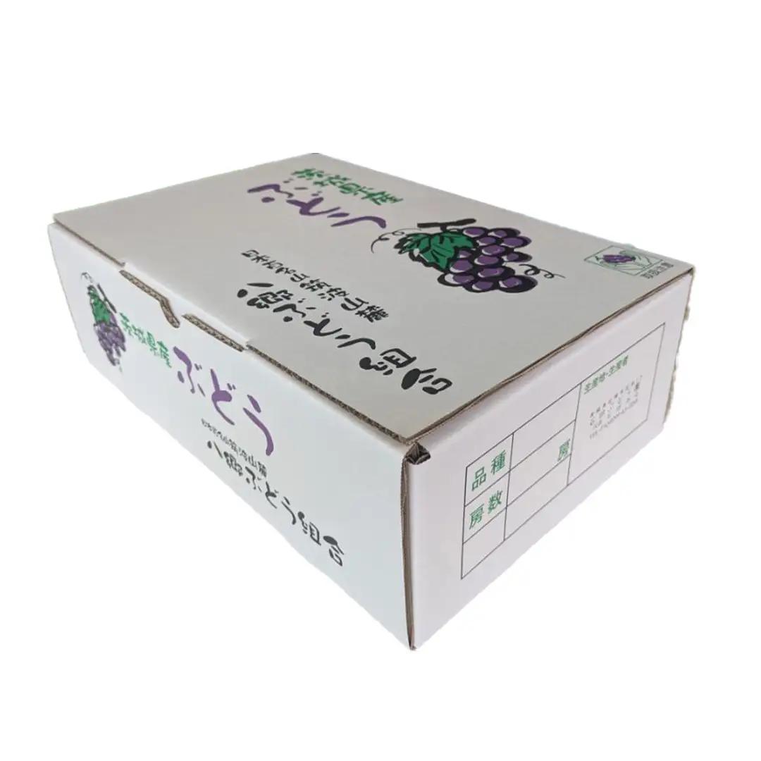 《 2026年 収穫分 》 種あり 巨峰 3kg 8～13房 (桜川市・石岡市共通返礼品) 先行予約 石田ぶどう園 国産 茨城県 桜川市 ぶどう ブドウ 葡萄 果物 くだもの フルーツ 旬 人気 産直
