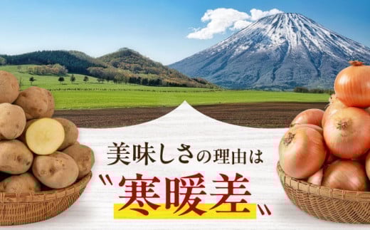 キタアカリ・玉ねぎセット 計20kg 北海道 じゃがいも ジャガイモ 玉ねぎ キタアカリ 季節の野菜 産地直送