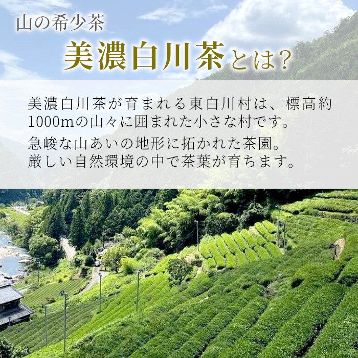 白川茶 茶蔵園 上煎茶 「薫風-くんぷう-」 1袋 80g