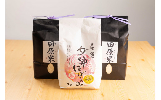 令和7年度産渥美半島米セット 6kg セット 食べ比べ 田原米2㎏×2袋 女神のほほえみ2㎏×1袋 希少米 米問屋直送