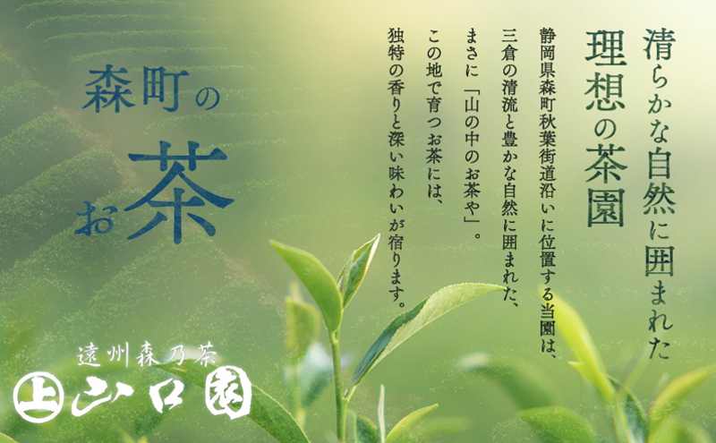 森の茶上煎茶 かおり 100g×3袋 煎茶 緑茶 茶葉 静岡県 森町 【配送不可：離島】
