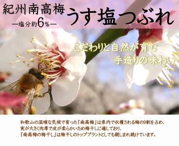 ご家庭用 大容量 紀州南高梅 うす塩 つぶれ 塩分約6％ 700g×2 ［YM15m］ A-240