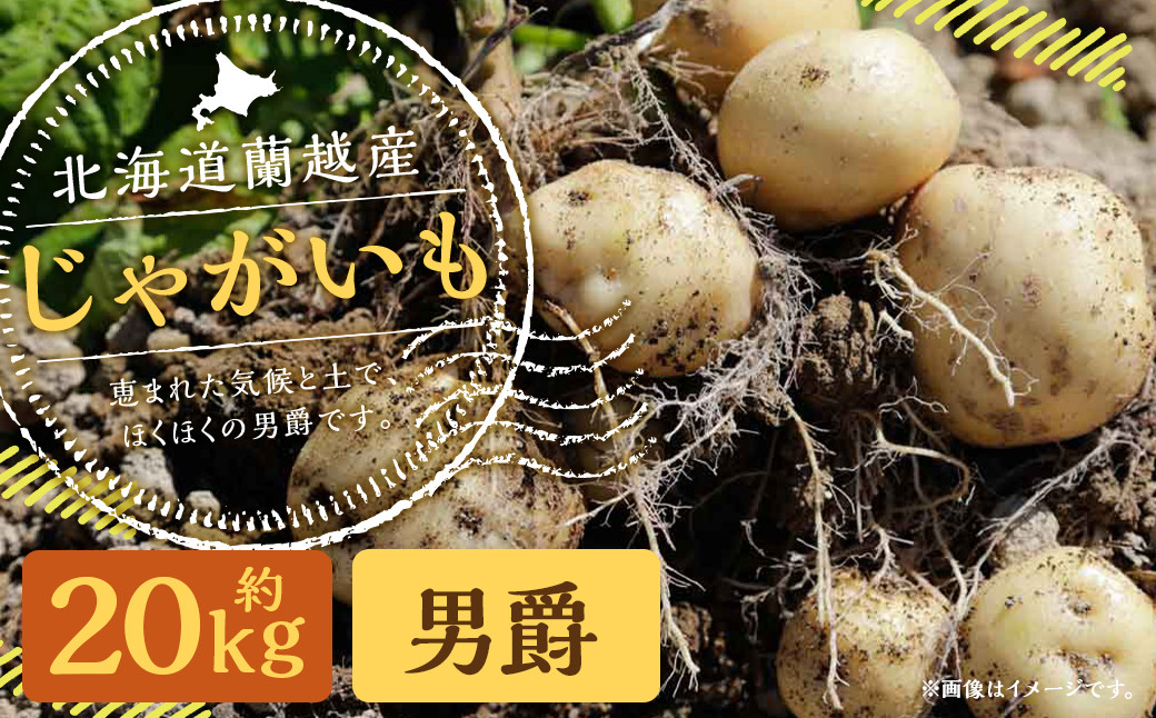 
                  北海道 蘭越産 じゃがいも（男爵） 約20kg 【2026年11月上旬~2027年4月上旬発送予定】野菜 男爵いも ジャガイモ ポテト 常温 農作物 蘭越町産 北海道産 国産 
                