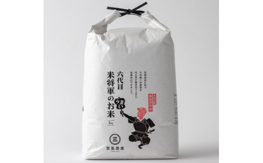 C13　無洗米　令和８年産　ゆめぴりか　10kg×12回【定期便】